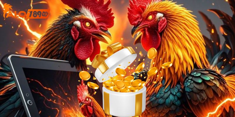 Bạn có thể gia tăng vốn cược nhờ tham gia khuyến mãi này