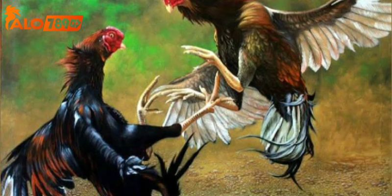 Điểm nổi bật của sảnh đá gà ALO789 trực tuyến