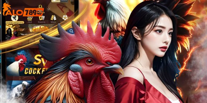 Sảnh đá gà uy tín ALO789 – Nơi khẳng định đẳng cấp kê thủ 